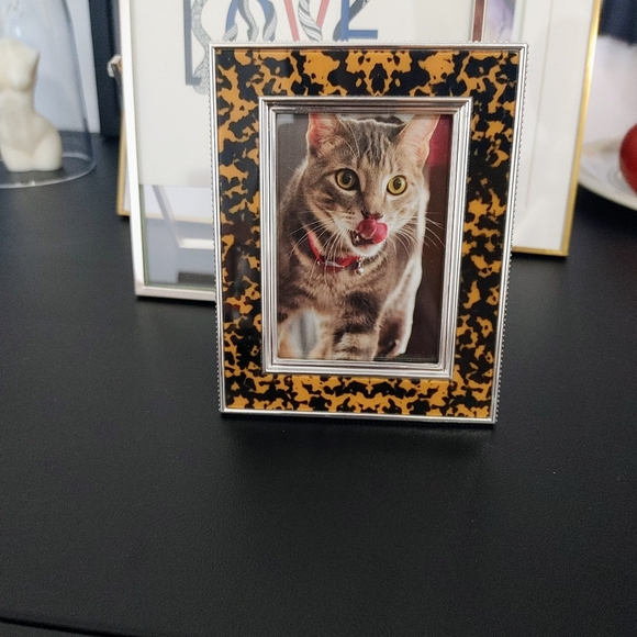 Tortoiseshell easel back frame - Picture 1 of 2